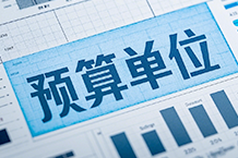 三级预算单位预决算信息