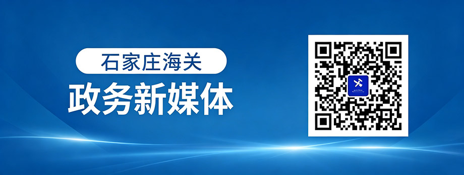 政务新媒体